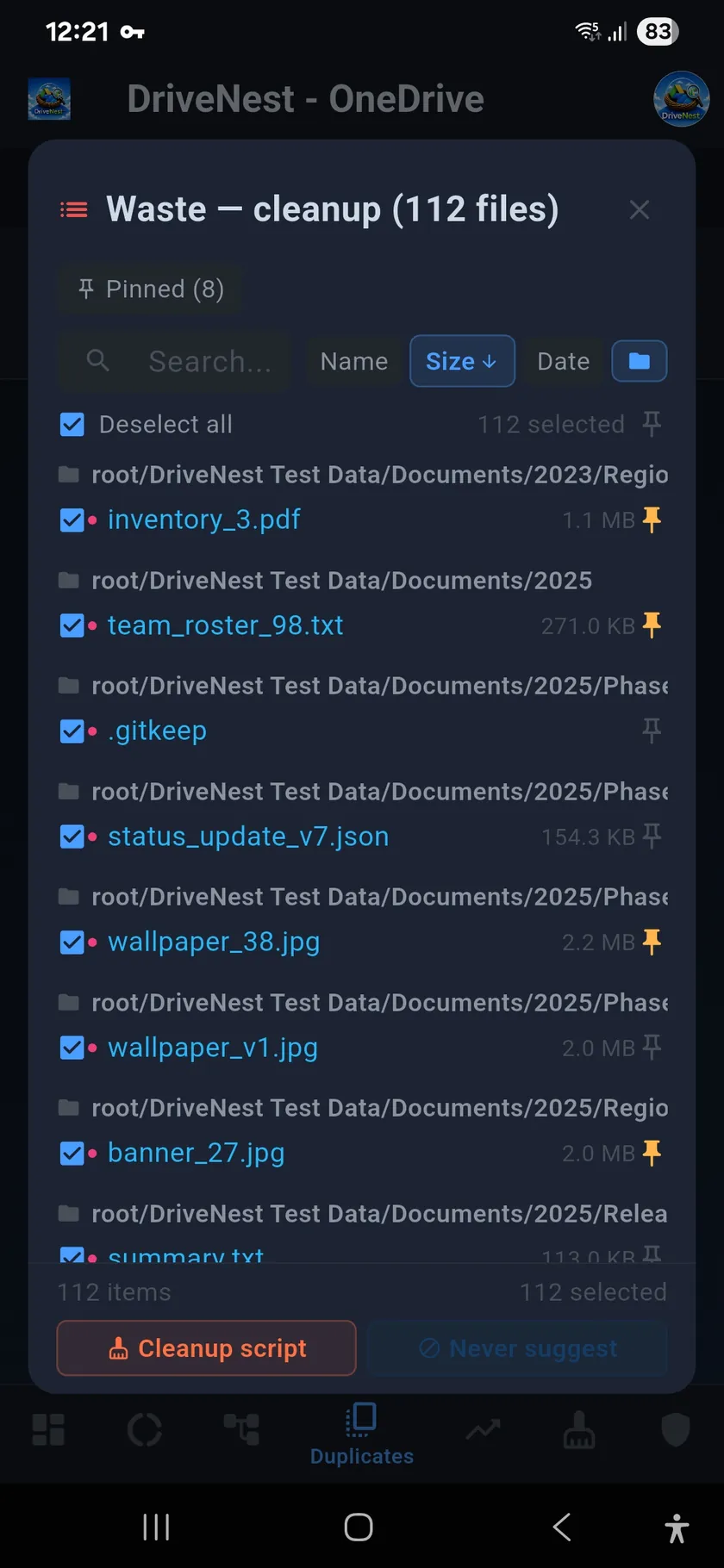 DriveNest duplicates waste list grouped by folder, with pinned copies and a Pinned (8) chip